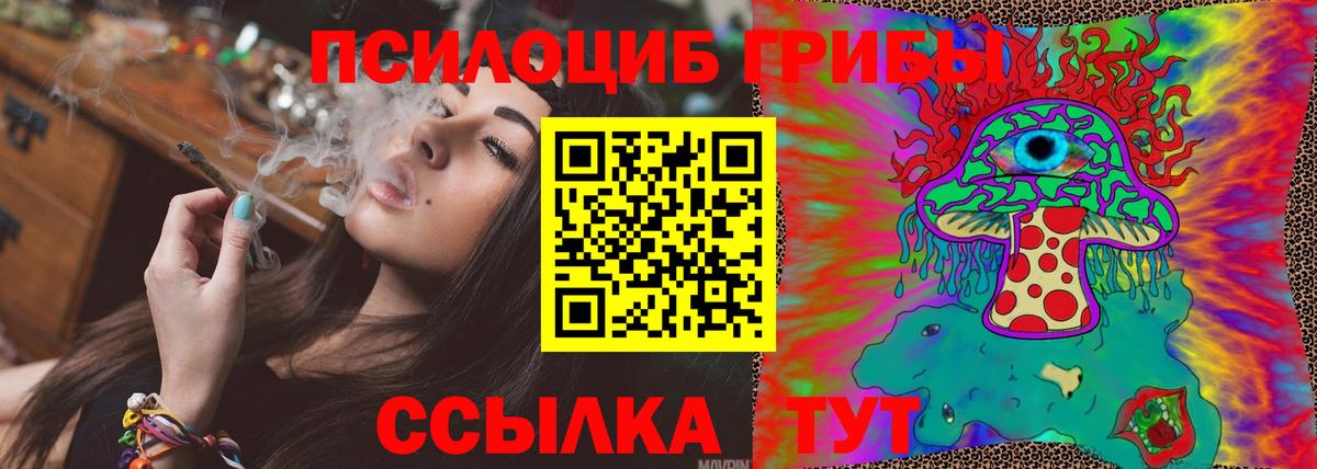 Малгобек  Псилоцибиновые грибы GOLDEN TEACHER  Псилоцибиновые грибы MAGIC MUSHROOMS  купить наркотик  Вход с VPN 